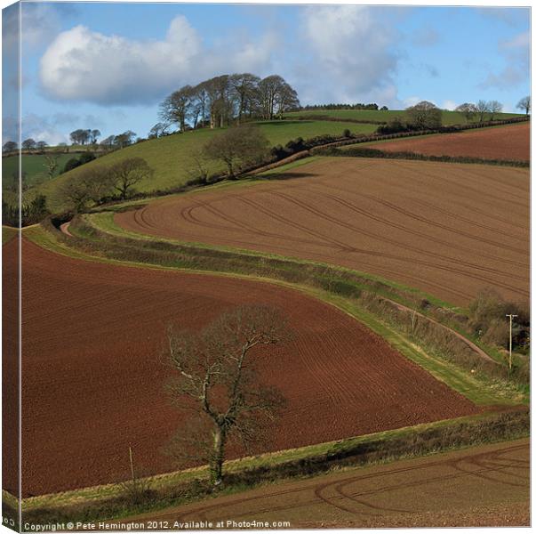 Red soil Canvas Print by Pete Hemington