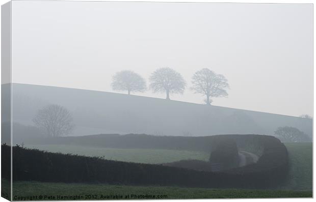 Three trees in the mist Canvas Print by Pete Hemington