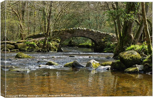 Packhorse Bridge in Hisley Wood Canvas Print by Pete Hemington