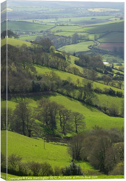 Devon fields Canvas Print by Pete Hemington