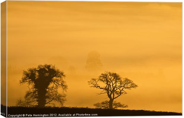 Trees in the morning Haze Canvas Print by Pete Hemington