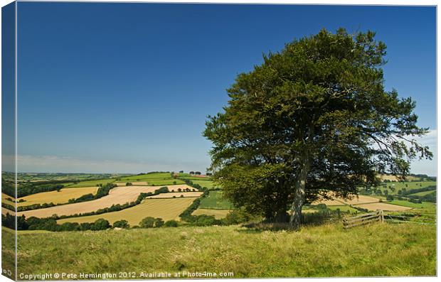 View from Raddon Top Canvas Print by Pete Hemington