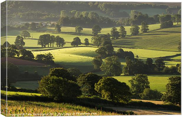 Morning light on fields Canvas Print by Pete Hemington