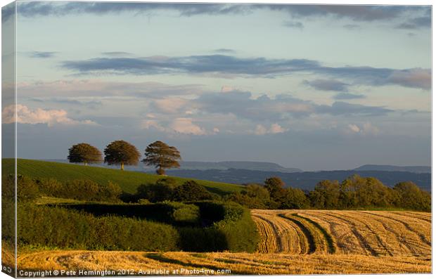 Hilltop view of Sidmouth Gap Canvas Print by Pete Hemington
