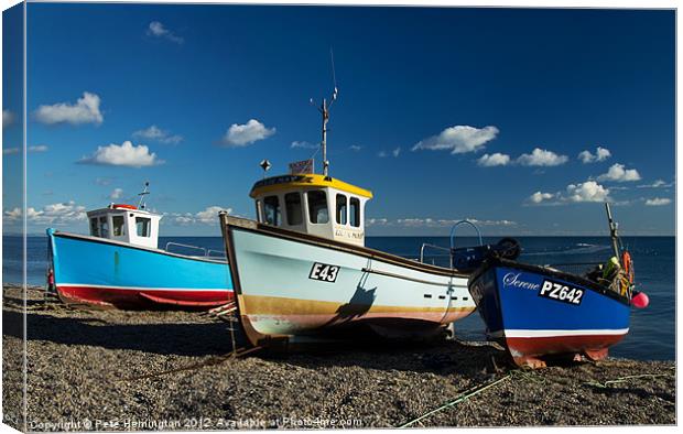 Fishing boats beached at Beer Canvas Print by Pete Hemington