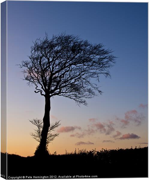 Lone tree at Sunset Canvas Print by Pete Hemington