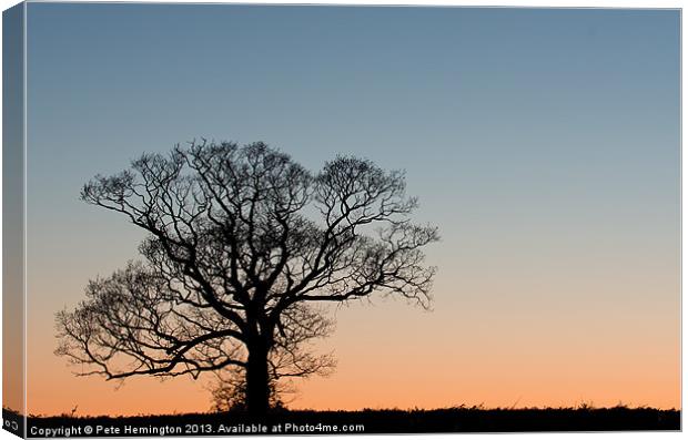 Lone tree at Sunset Canvas Print by Pete Hemington