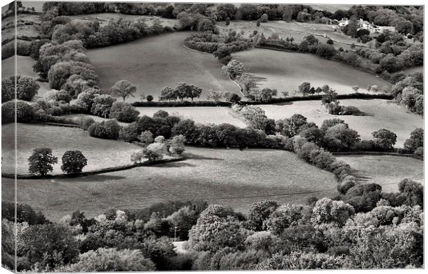 From Dumpdon Hill Canvas Print by Pete Hemington