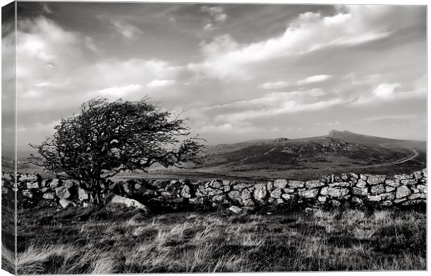 Haytor view Canvas Print by Pete Hemington