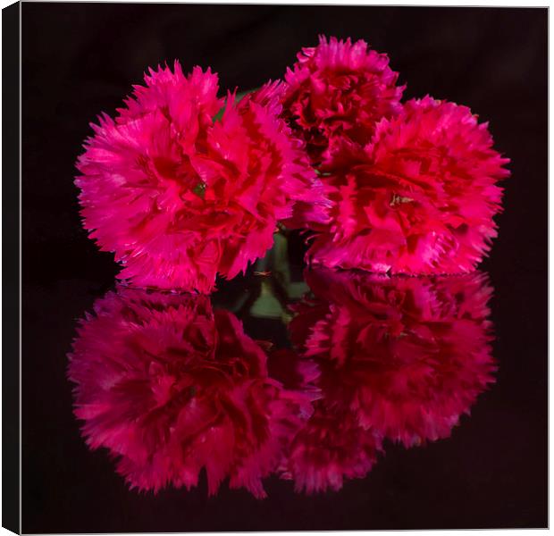 Reflected Carnations Canvas Print by Pete Hemington
