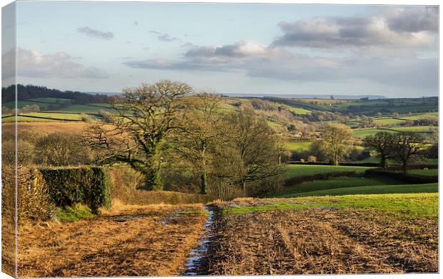 Farmland in Mid Devon Canvas Print by Pete Hemington
