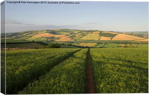 The Exe valley in Mid Devon Canvas Print by Pete Hemington