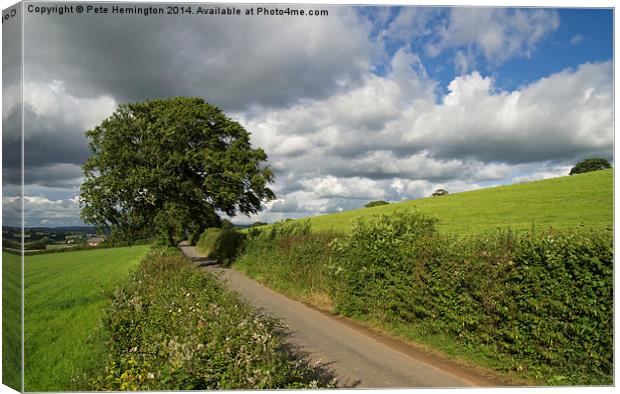  Rural Devon lane Canvas Print by Pete Hemington