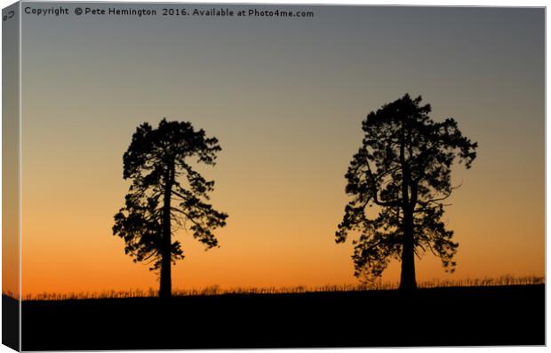 Two trees at sunset Canvas Print by Pete Hemington