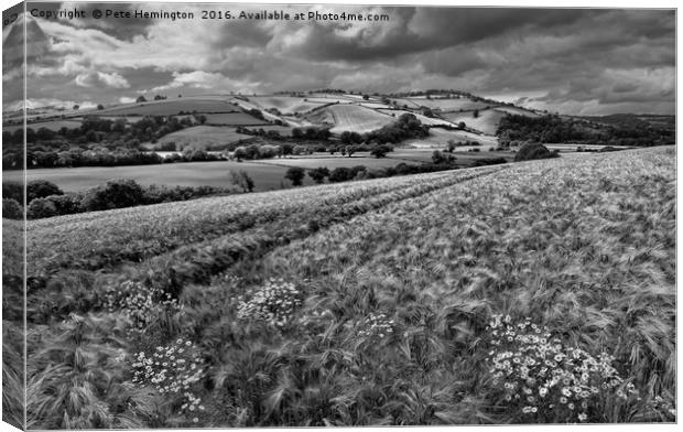 The Exe Valley Canvas Print by Pete Hemington