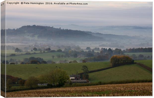 Killerton Clump from Caseberry downs Canvas Print by Pete Hemington