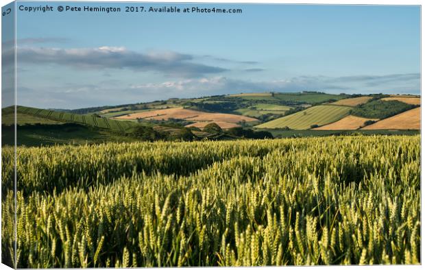 Harvest is coming Canvas Print by Pete Hemington