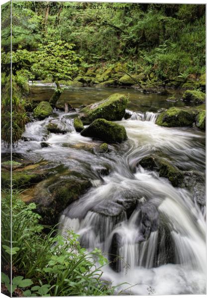 Golitha Falls in Cornwall Canvas Print by Pete Hemington