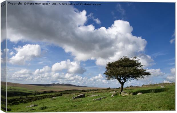 Lone tree on Bodmin Moor Canvas Print by Pete Hemington