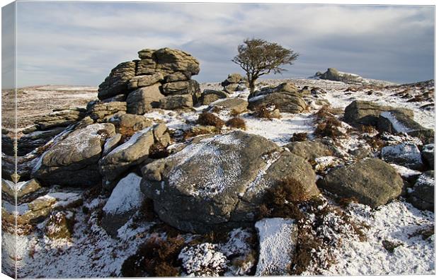 Holwell Tor on Dartmoor Canvas Print by Pete Hemington