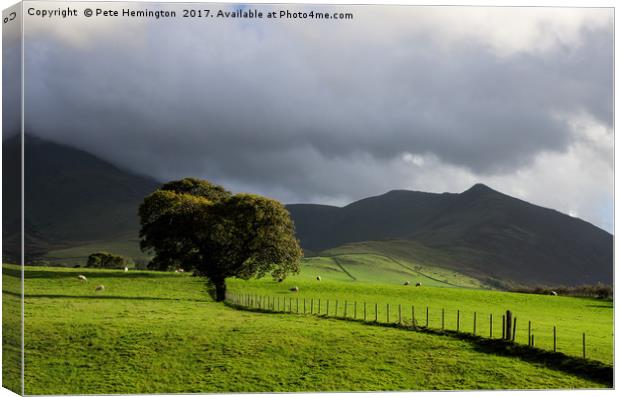 A lone tree at the back of Skiddaw Canvas Print by Pete Hemington