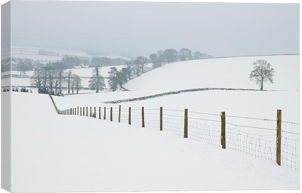 Snowy fields Canvas Print by Pete Hemington