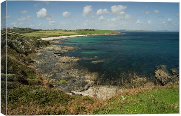 Towan Beach from Killigerran Head Canvas Print by Pete Hemington