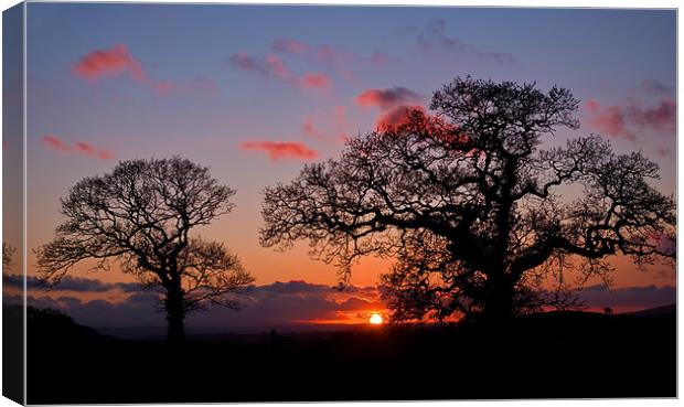 Tree silhouette at Sunset Canvas Print by Pete Hemington