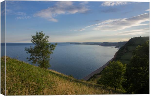 From Dunscombe Hill to Sidmouth Canvas Print by Pete Hemington