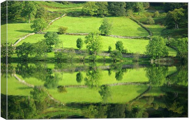 Reflections on Rydal Water Canvas Print by Pete Hemington
