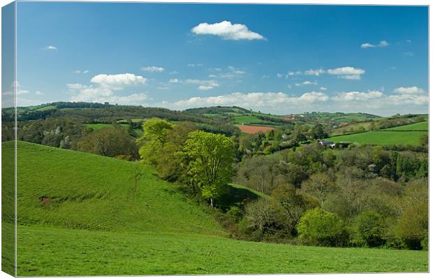 Exe valley in Mid Devon Canvas Print by Pete Hemington