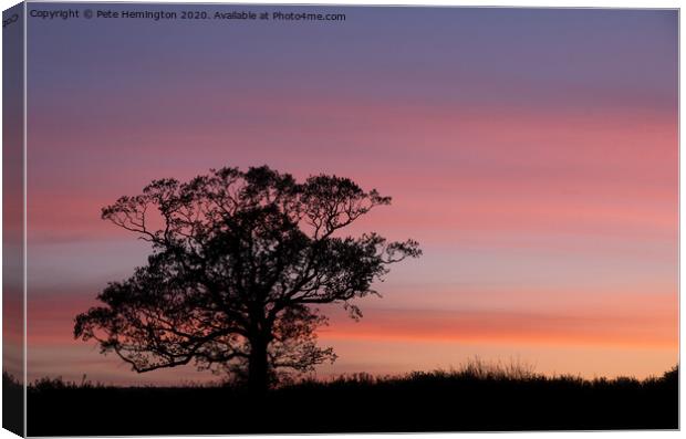 Tree silhouette at sunset Canvas Print by Pete Hemington