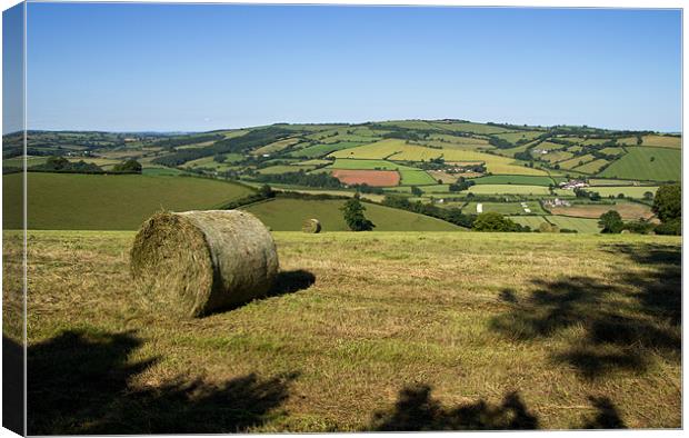 Exe valley in Mid Devon Canvas Print by Pete Hemington