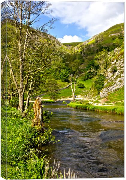 The River Dove at Dovedale. Canvas Print by Darren Burroughs