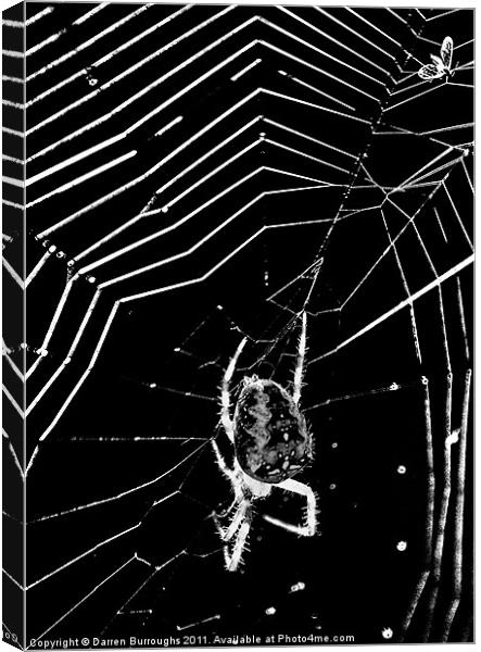 Caught in The web Canvas Print by Darren Burroughs