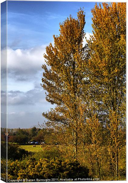 Golden Autumn In Suffolk Canvas Print by Darren Burroughs