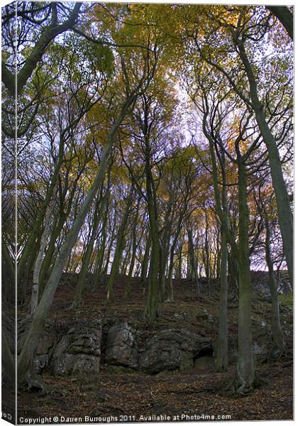 Rocks And Autumn Trees Canvas Print by Darren Burroughs