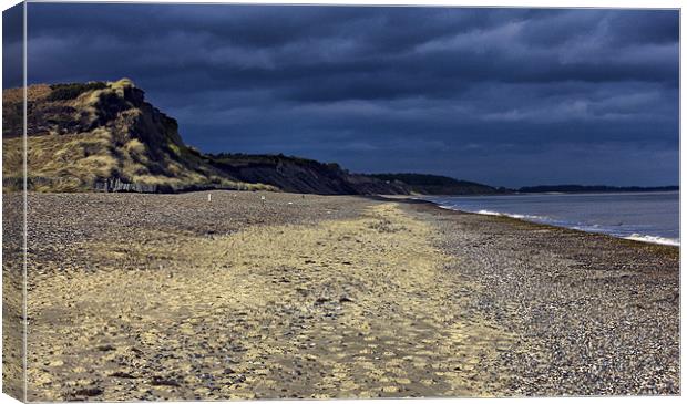 Dunwich Beach Suffolk Canvas Print by Darren Burroughs