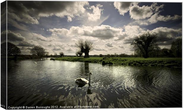 Swans On The Stour Canvas Print by Darren Burroughs