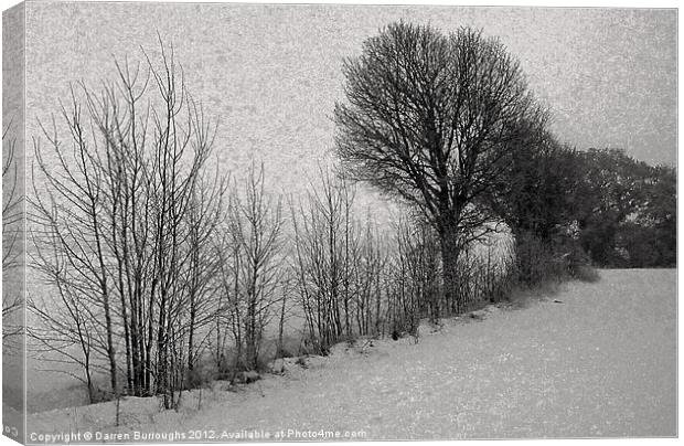 Winter trees Canvas Print by Darren Burroughs