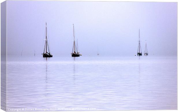 Moored In The Mist Canvas Print by Darren Burroughs