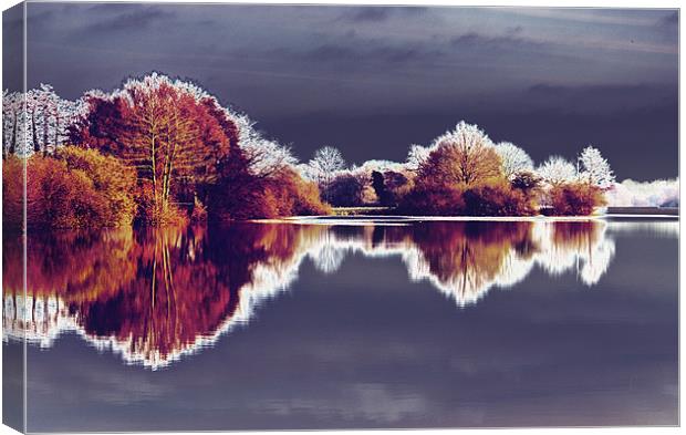 Lake Reflections Canvas Print by Darren Burroughs