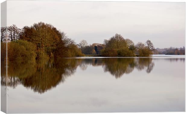 Lake Reflections Canvas Print by Darren Burroughs