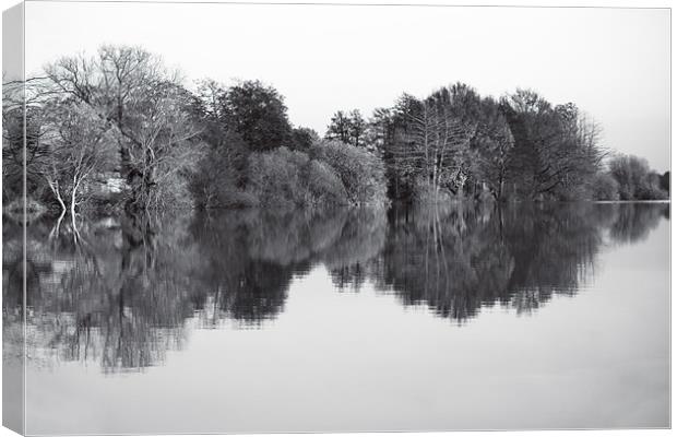 Lake Reflections Canvas Print by Darren Burroughs