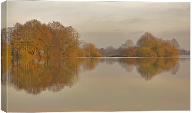 Lake Reflections Canvas Print by Darren Burroughs