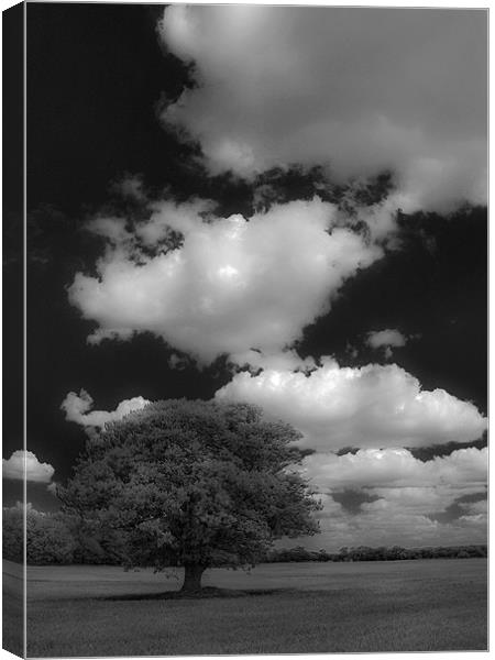 Cloud Busting Canvas Print by Darren Burroughs