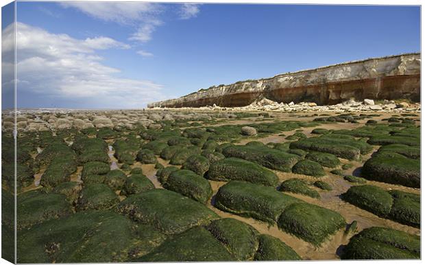 Hunstanton Beach Canvas Print by Darren Burroughs