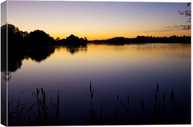 Early October Morning on the lake at Harleston. Canvas Print by Darren Burroughs