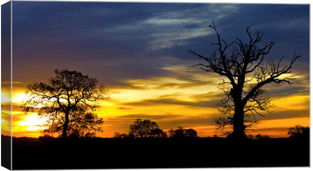 Silhouette Sunrise Canvas Print by Darren Burroughs