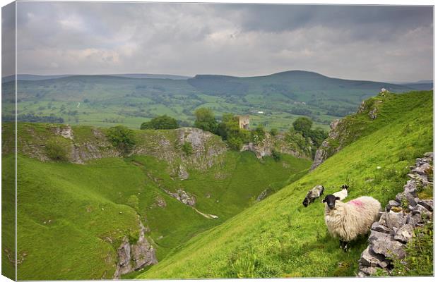 Above Cavedale Castleton Canvas Print by Darren Burroughs